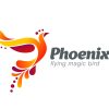 Magic Fairy Bird Abstract Logo design vector template.
Flying Phoenix creative Logotype icon.